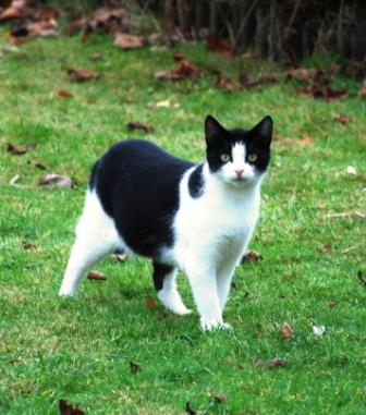 Schmerzlich vermisst werden...